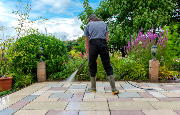 Best Fence Cleaning  in Verona Walk, FL